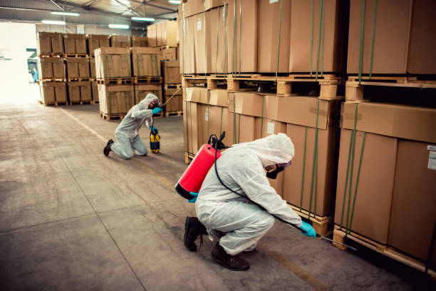 Flea Control Services in Edmond, OK