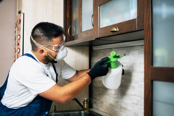 Best Pest Control Near Me  in Edmond, OK