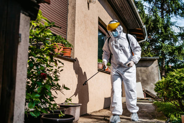 Best Local Pest Control Services  in Edmond, OK