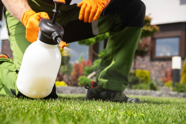 Professional Pest Control in Edmond, OK
