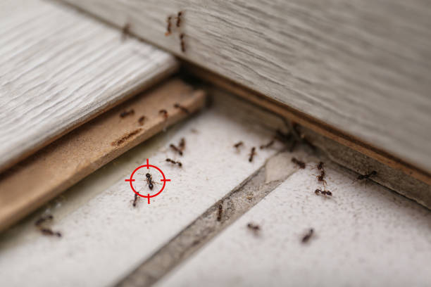 Best Commercial Pest Control Services  in Edmond, OK