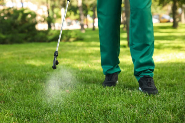 Best Pest Inspection Near Me  in Edmond, OK