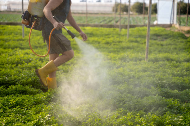 Best Wasp Removal Services  in Edmond, OK