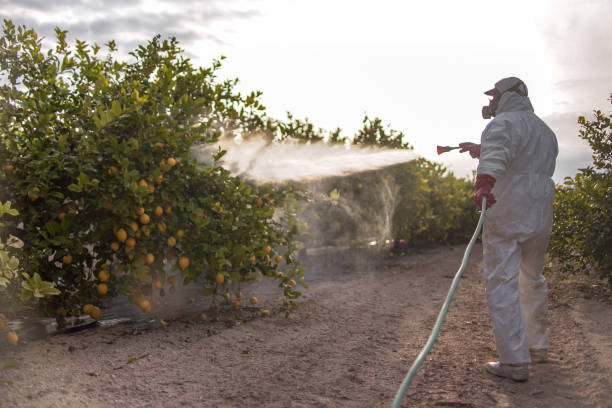 Best Pest Prevention Services  in Edmond, OK