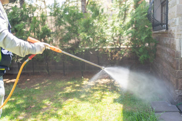 Best Rat Extermination Near Me  in Edmond, OK