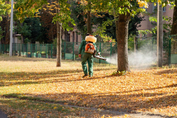 Best Termite Control Services  in Edmond, OK