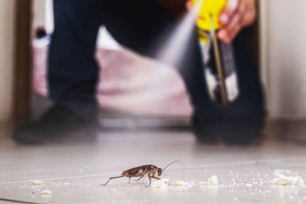 Pest Control for Restaurants in Edmond, OK