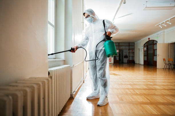 Wasp Removal Services in Edmond, OK