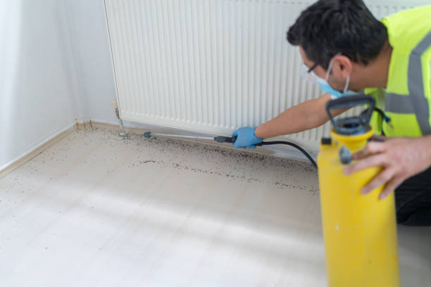 Best Exterminator Services  in Edmond, OK
